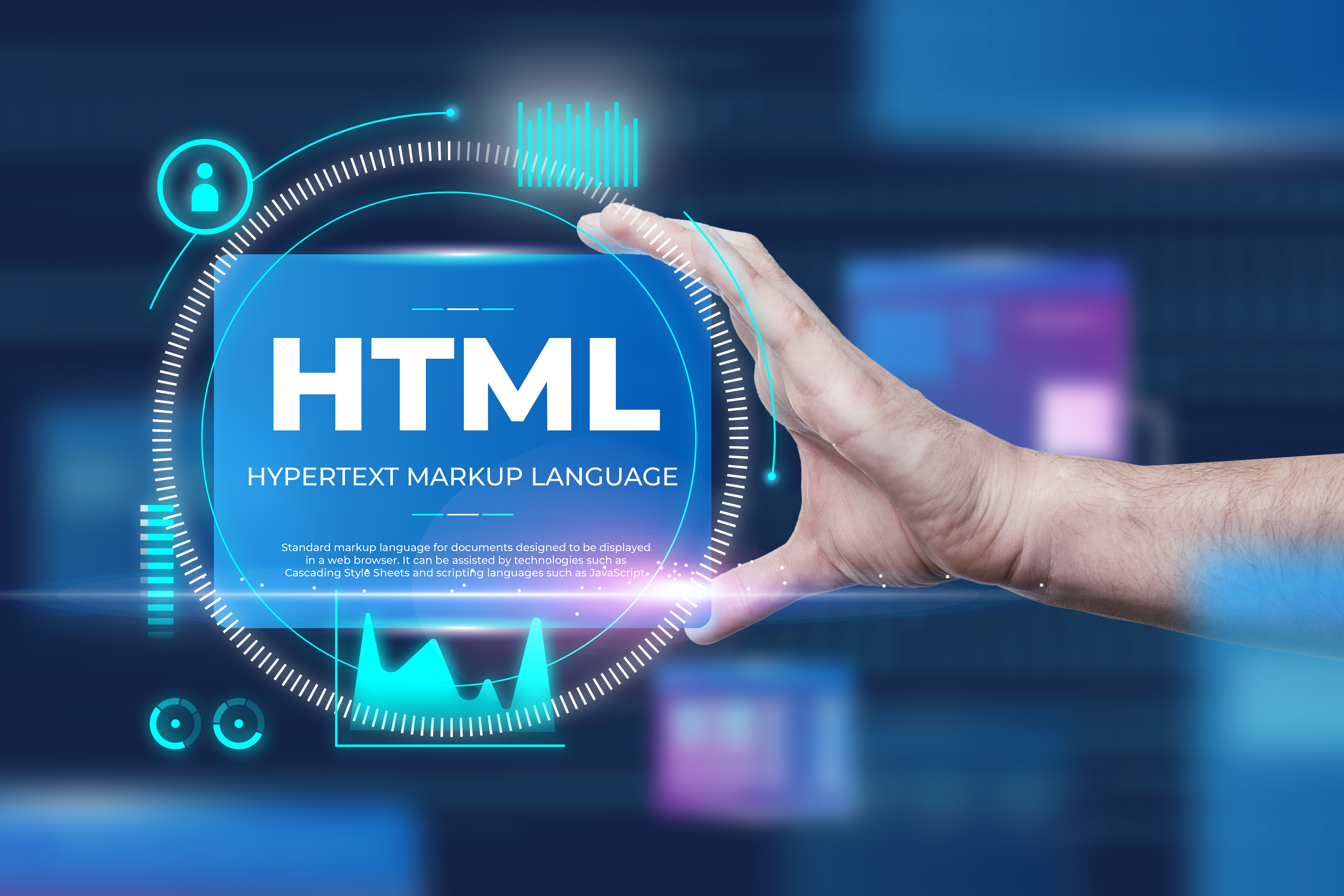 Website Design